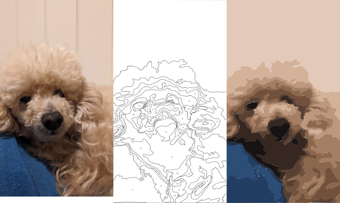 Photo of a poodle beside its generated paint-by-numbers template and colour preview